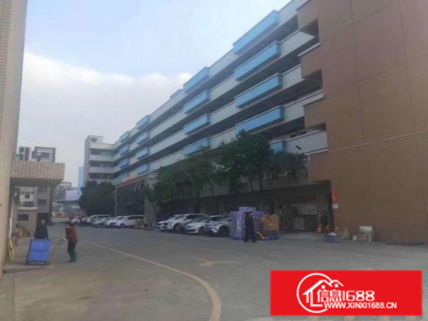 大岭山园区分租一二楼5000平可分租