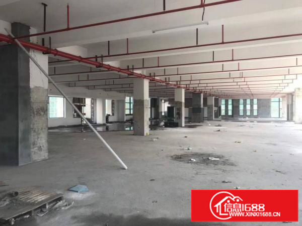 平湖原业主厂房一楼1500平方出租，急急急