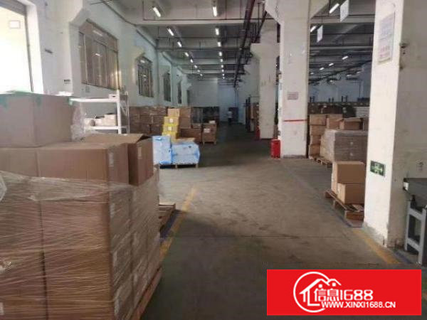 龙岗宝龙一楼6米高3500平方红本厂房出租