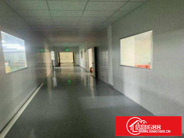 坂田红星厂房出租800平整租，楼上2部大货梯装修好