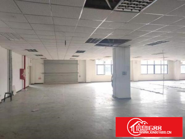 龙华大浪新出独栋厂房6480平