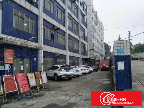 颜屋新空出工业园厂房出租3楼500平带无尘车精装修