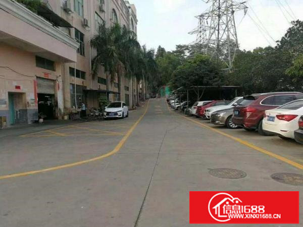 坂田天虹新出楼上700平方带装修厂房招租