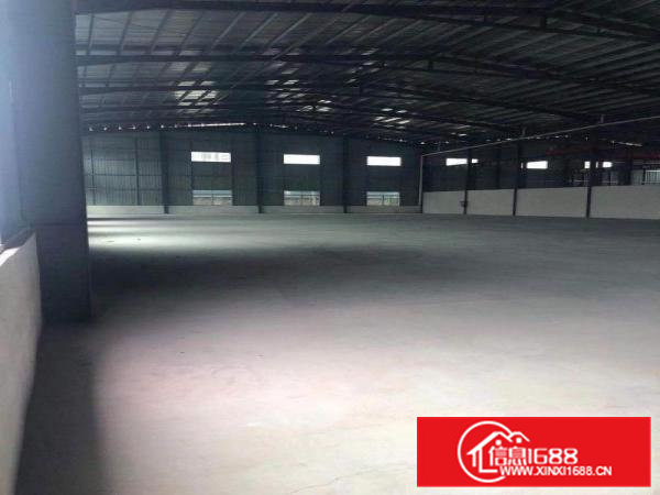 常平新出原房东全新钢构2000平方，中间无柱子，10米高