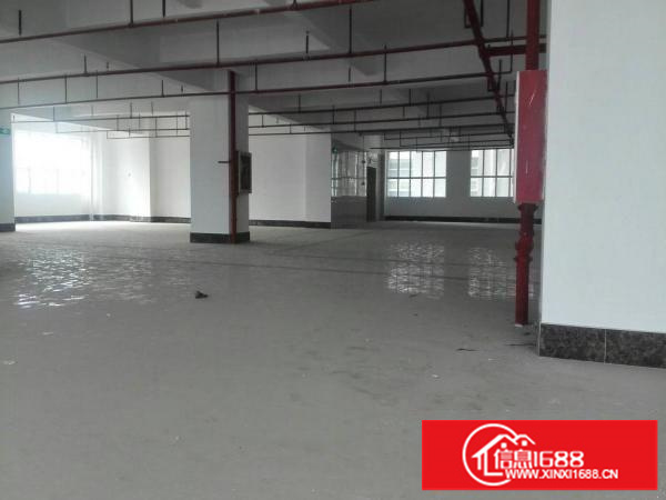 独院厂房，大小分租，1000平