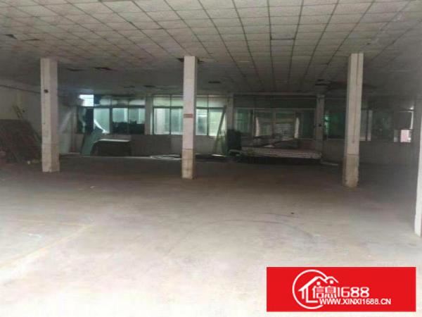 惠阳新墟一楼钢构900与480平米出租