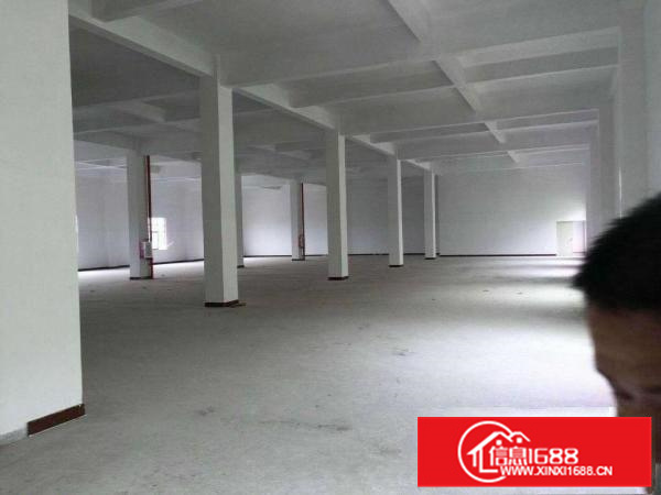 出租仲恺陈江镇独栋厂房4000平方