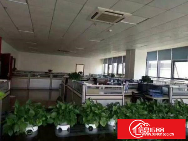 龙岗宝龙高新区新出原房东豪华装修楼上1286平出租