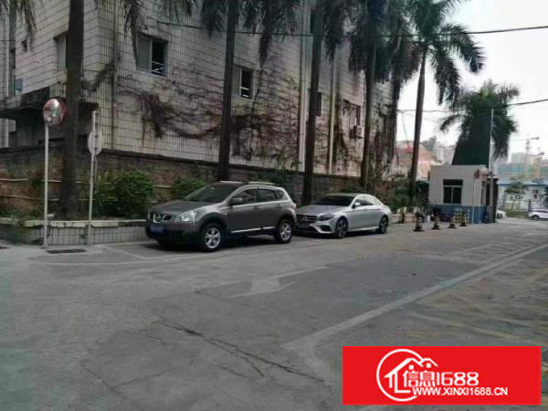 坂田吉华路边标准厂房一楼560平可分租地市场价出租28元