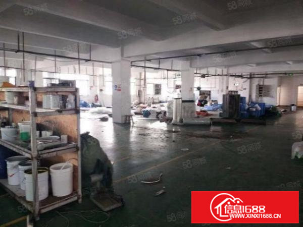 高埗15元一楼低价甩租，走过路过莫错过