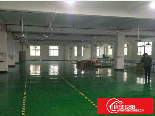 横岗茂兴路原房东独门独院厂房2500平方带办公室装修