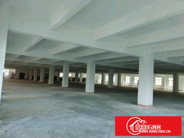 龙华大浪商业中心附近1100m2精装修厂房出租，超好地段。