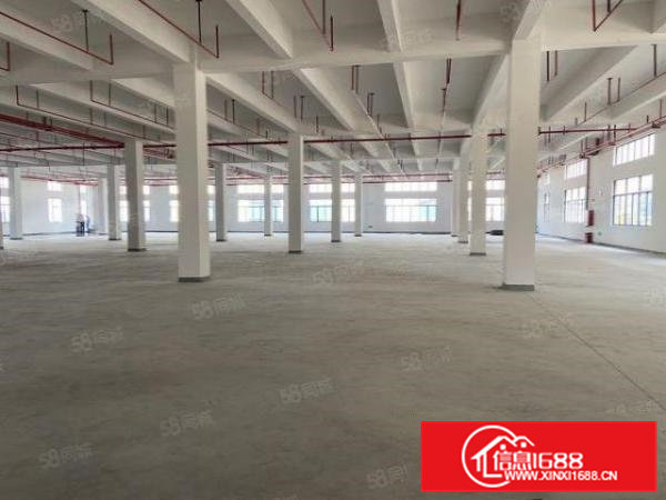 常平靠近大朗原房东标准独院厂房出租