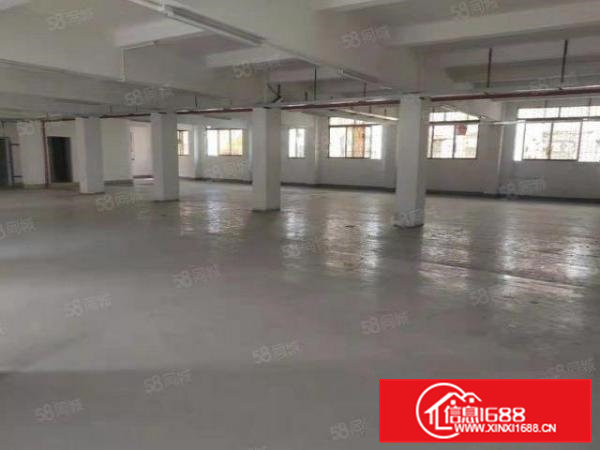 虎门大宁新出独门独院5600平双电梯