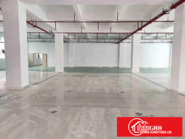 大宁产业园出租，面积可分租，二手房东勿扰，只租实业客户