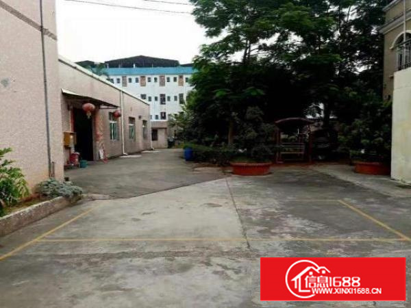 出租万江石美出租万江客运总站厂房仓库出租