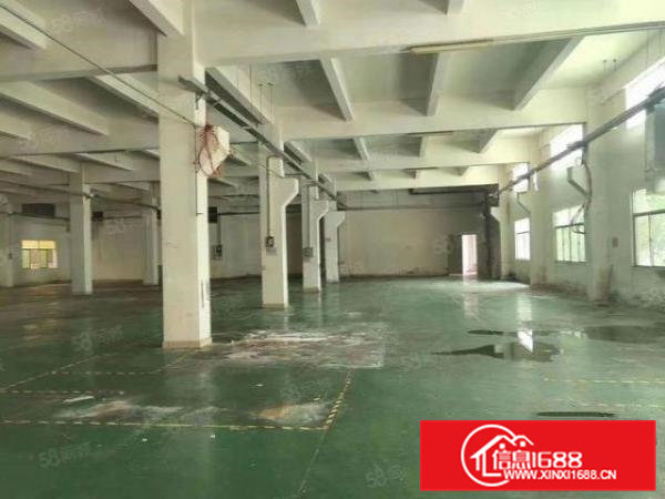 常平袁山贝新出三层原房东厂房5100平方，带环评，空地大