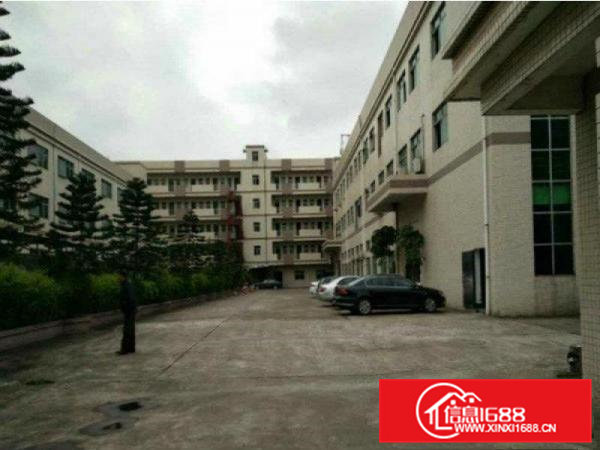 石排太和标准一楼厂房600平方带牛角地坪漆出租