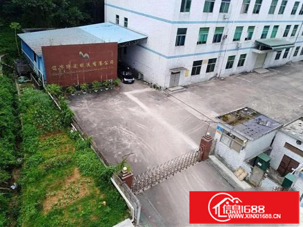 六约埔吓路一二楼厂房各1000平，大小分租有装修