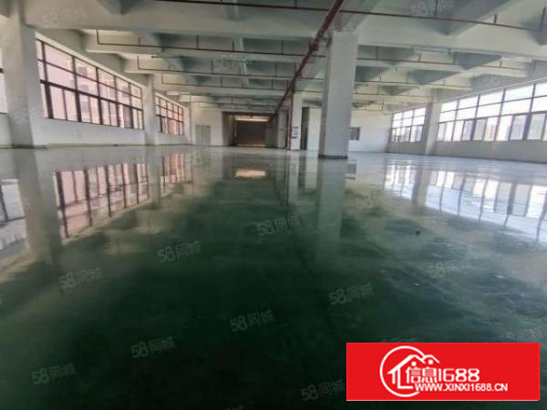 凤岗金凤凰工业区新出原房东一楼800平超大空地厂房出租可分租