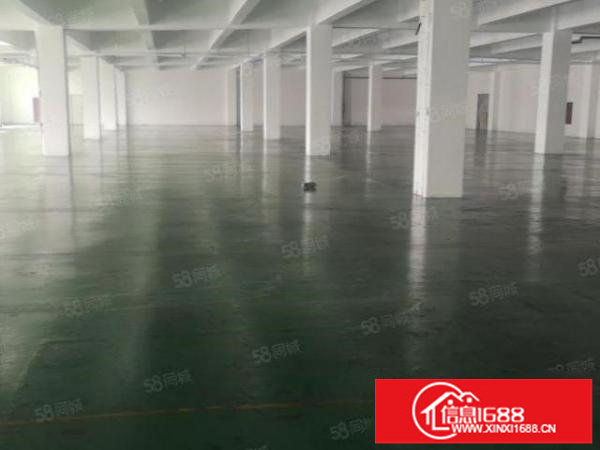 15块！带地坪漆！龙岗同乐原房东1000平2楼厂房出租有电梯