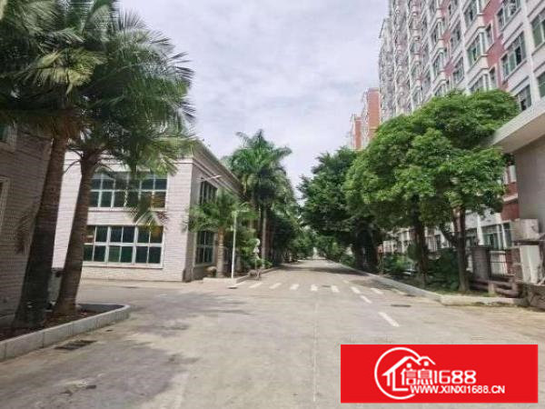 坪山大工业区新出1500平米8米高的一楼厂房出租，空地大