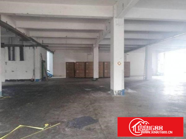 田尾原房东一楼标准厂房200平米带装修出租