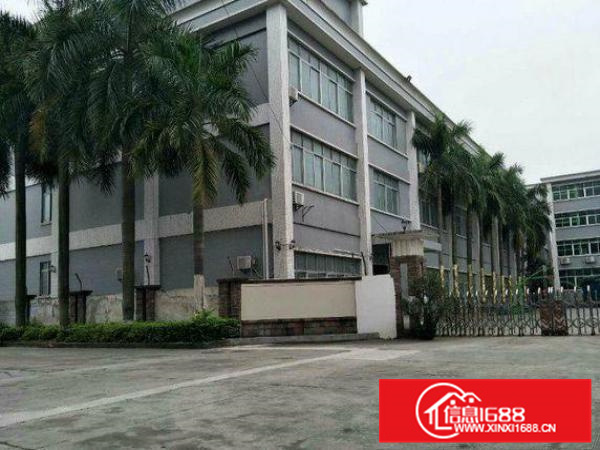 大亚湾西区标准厂房出租一楼800平