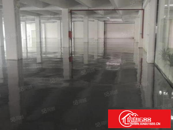 15块！带地坪漆！龙岗同乐原房东1000平2楼厂房出租有电梯