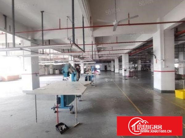 雁田龙平西路边原房东标准独院厂房无公摊九成新14000平出租