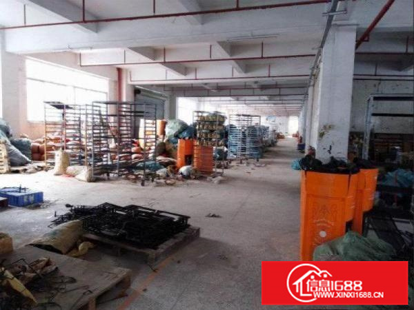 将军路口红本厂房招租大小可分行村委厂房可开发票