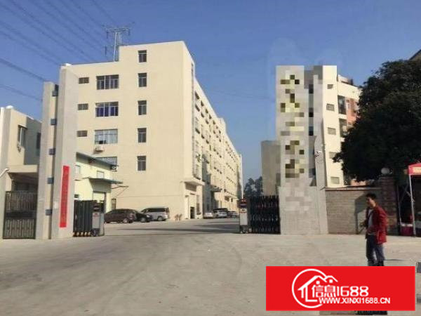 大岭山杨屋村带装修厂房1000平方