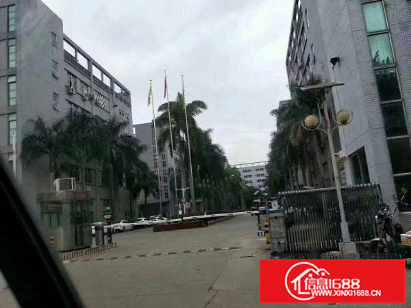 大岭山镇莞长路新出原房东形象好空地大独院可厂房出租