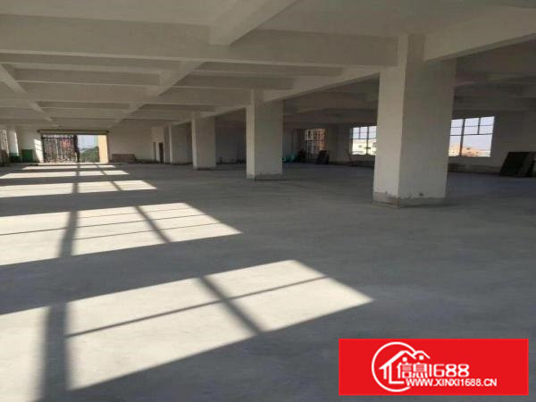 大岭山，犀牛陂厂房550平米