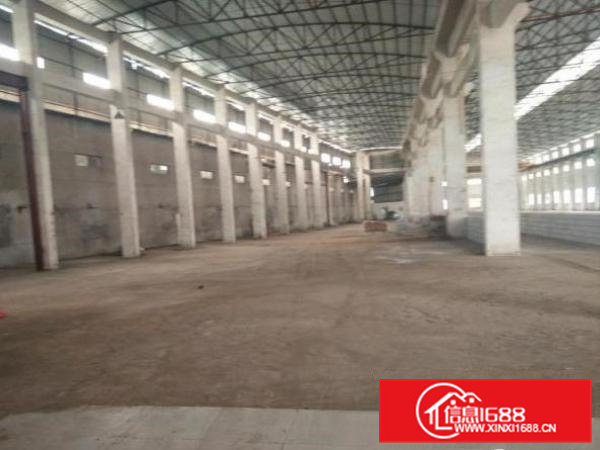 清溪铁松村单层钢构1600平，滴水8米，可以分租