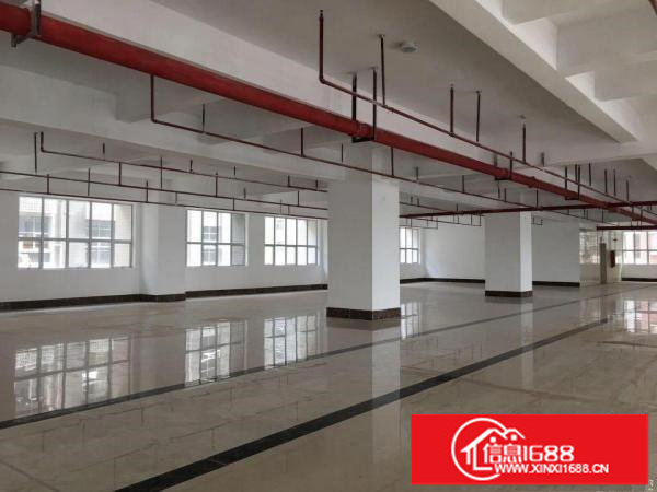 坂田华为地铁口100~5000平方电商办公 仓库厂房出租