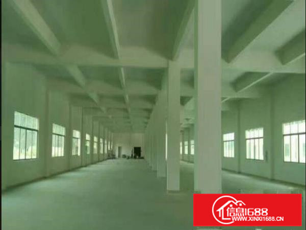 常平独院厂房分租一楼700平方米有现成办公室