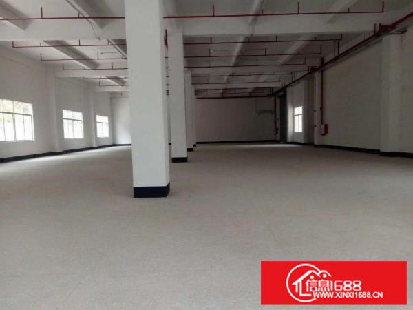 东莞清溪原房东全新标准独院厂房5层7508平方13元低价直租