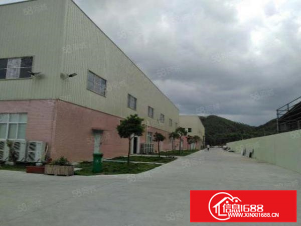 高明更合镇新出全新单一层厂房约12000平方可分割滴水10米