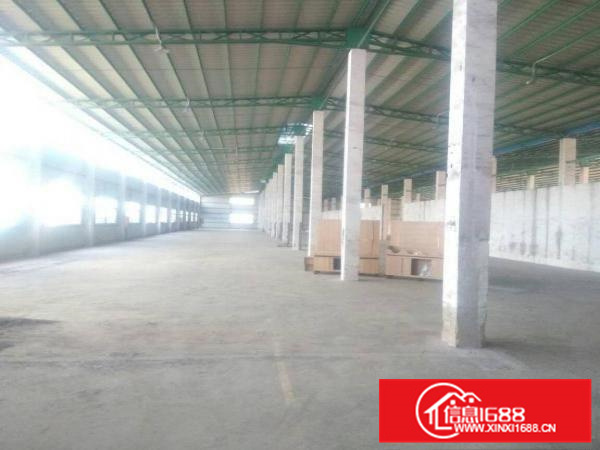 惠阳新圩新出3000平独院钢构厂房滴水8米出租