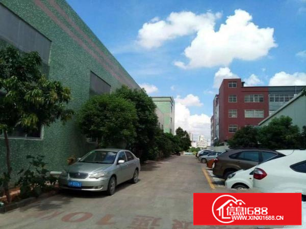 大亚湾单一层钢结构4300平火爆招租