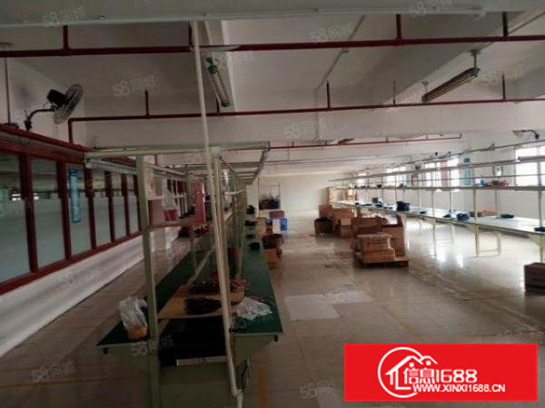 刚出新厂房现成办公室精装修1350平方二楼低价招租