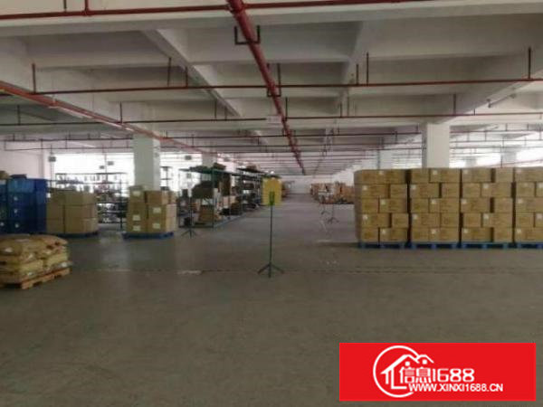 环观南路大型工业园大量厂房招租可分租空地大停车方便