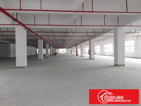 全新厂房单层8500平4部3吨货梯三证齐全三和经济开发区