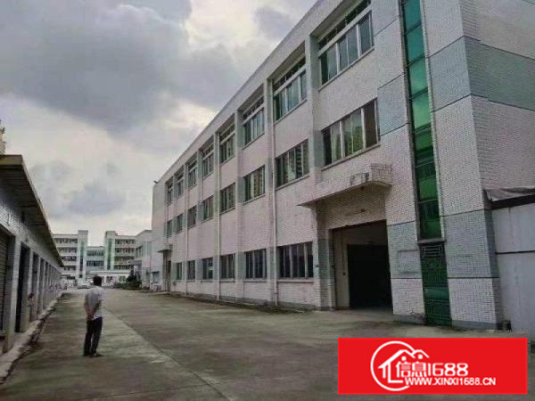 园洲厂房出租，包办环评，证件齐全，可随时看房。