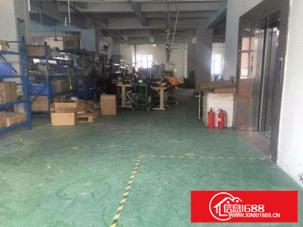 138工业区标准一楼厂房500平米靠近商业街出租