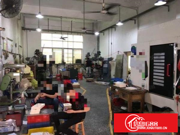 大浪浪口一楼带装修380平方米出租