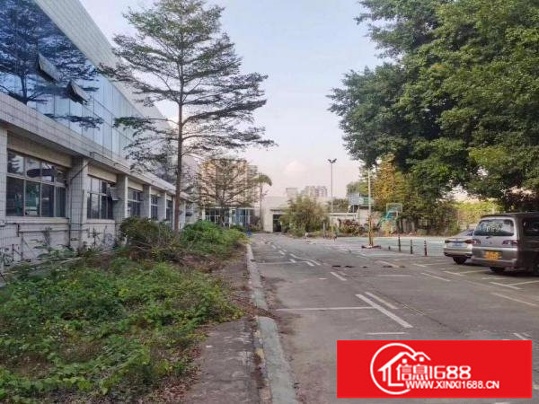 坂田五和大道物流园40000平方出租，大小可分