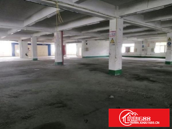 不在改造范围，形象好，顺德勒流1800方标准厂房出租