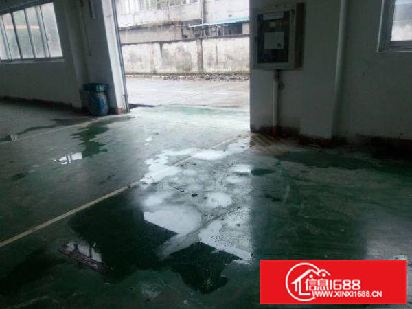 常平天鹅湖出租一楼原房东600平米标准厂房急租